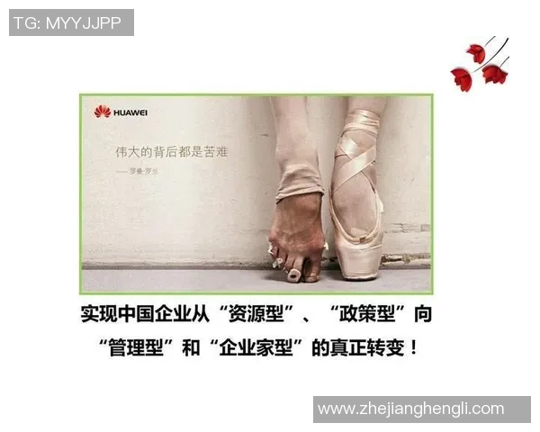 深圳排球队的节奏解析：深度探讨排球战术与团队协作的奥秘