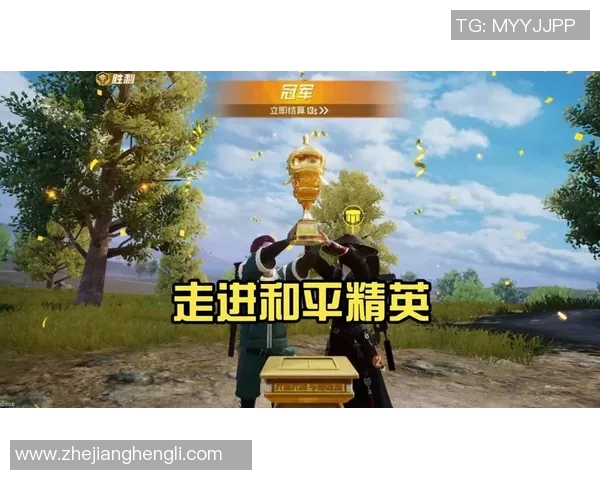 李磊专访揭秘和平精英成功背后的策略与创新之路